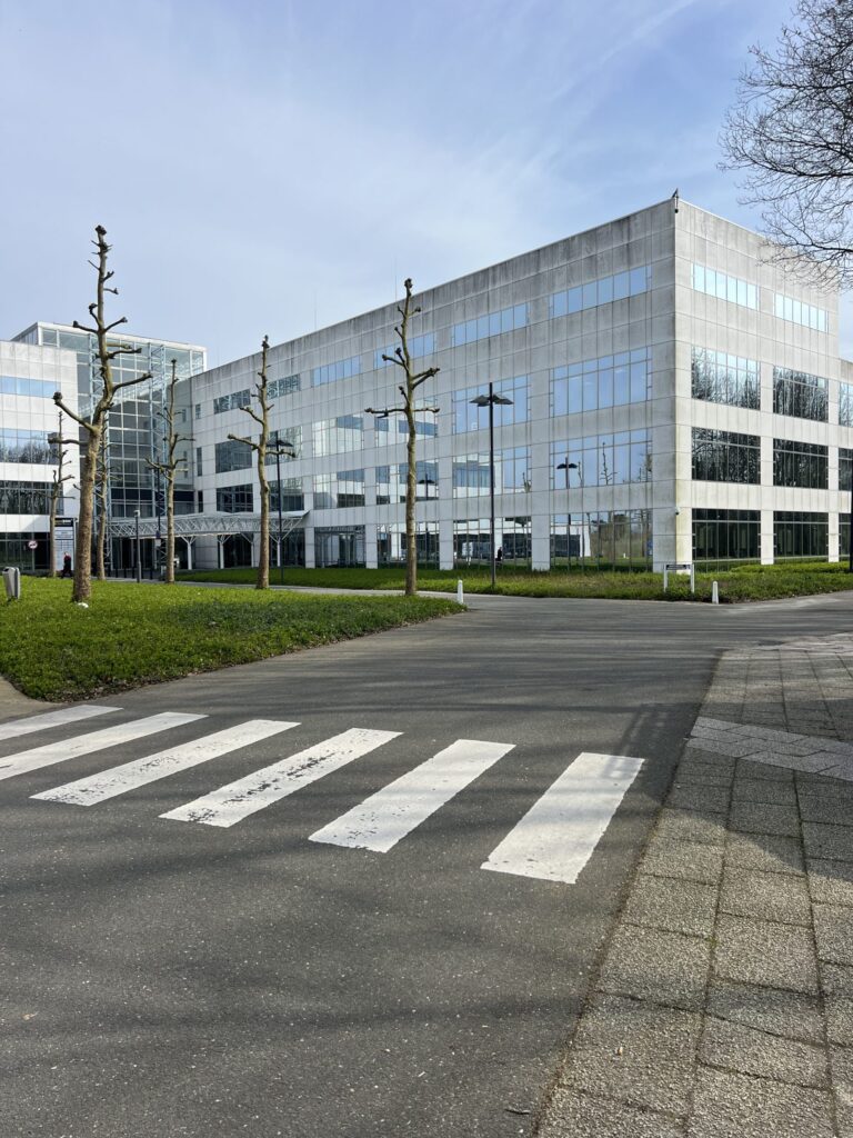 Kosten bestrating reinigen: prijs per m2, voorbeelden en slimme bespaartips